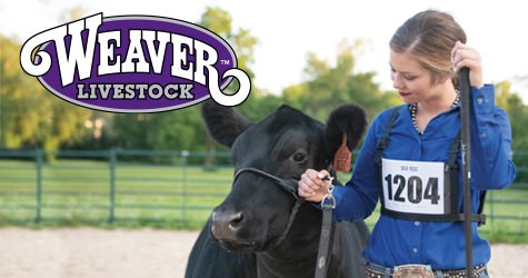 Weaver Livestock