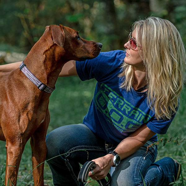 Terrain Dog collar on dog